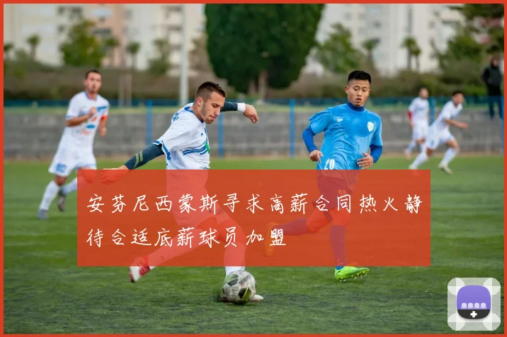 安芬尼西蒙斯寻求高薪合同热火静待合适底薪球员加盟