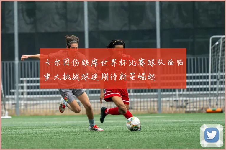 卡尔因伤缺席世界杯比赛球队面临重大挑战球迷期待新星崛起