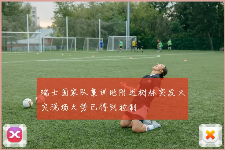 瑞士国家队集训地附近树林突发火灾现场火势已得到控制
